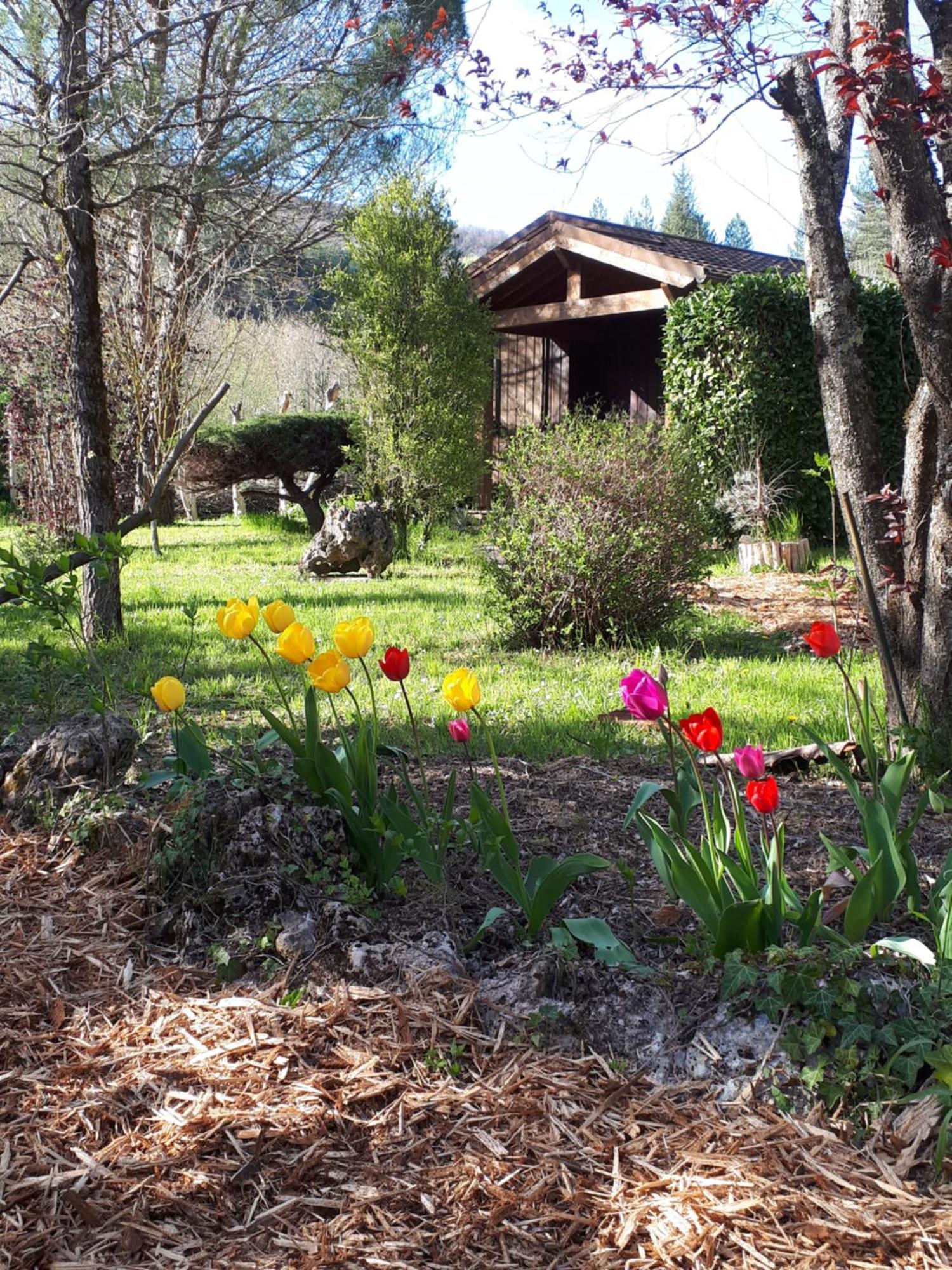 Alzon Les Chalets Du Roc מראה חיצוני תמונה